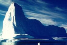 Photo of Антарктидада әлемдегі ең үлкен айсберг еріп жатыр