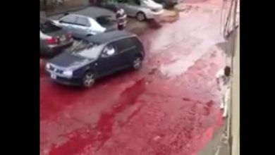 Photo of В Аргентинском городе Морон одну из улиц затопило кровью