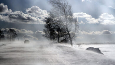 Photo of В Акмолинской области ожидается буран
