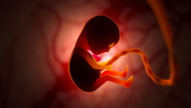 Photo of Ученые создали модель эмбриона человека из клеток кожи