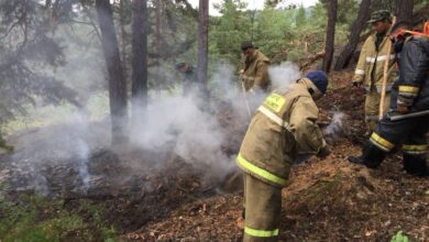 Photo of Количество пожаров увеличилось в Акмолинской области