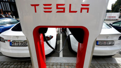 Photo of Электромобили Tesla стали приманкой для крыс в США