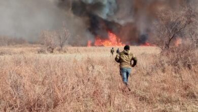 Photo of В Казахстане возродили пожарное добровольчество
