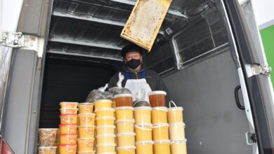 Photo of Пчеловоды представили продукцию на зерендинской ярмарке