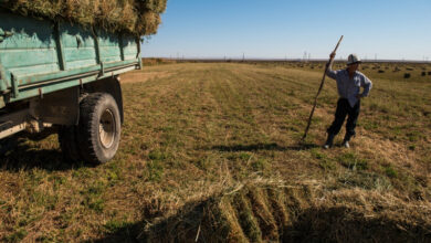 Photo of Зарплаты госслужащих и фермеров сравнили в Казахстане