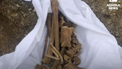 Photo of Останки человеческих костей обнаружили в Бурабайском районе: комментарий от полиции
