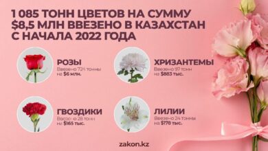 Photo of Какие цветы предпочитают дарить казахстанцы