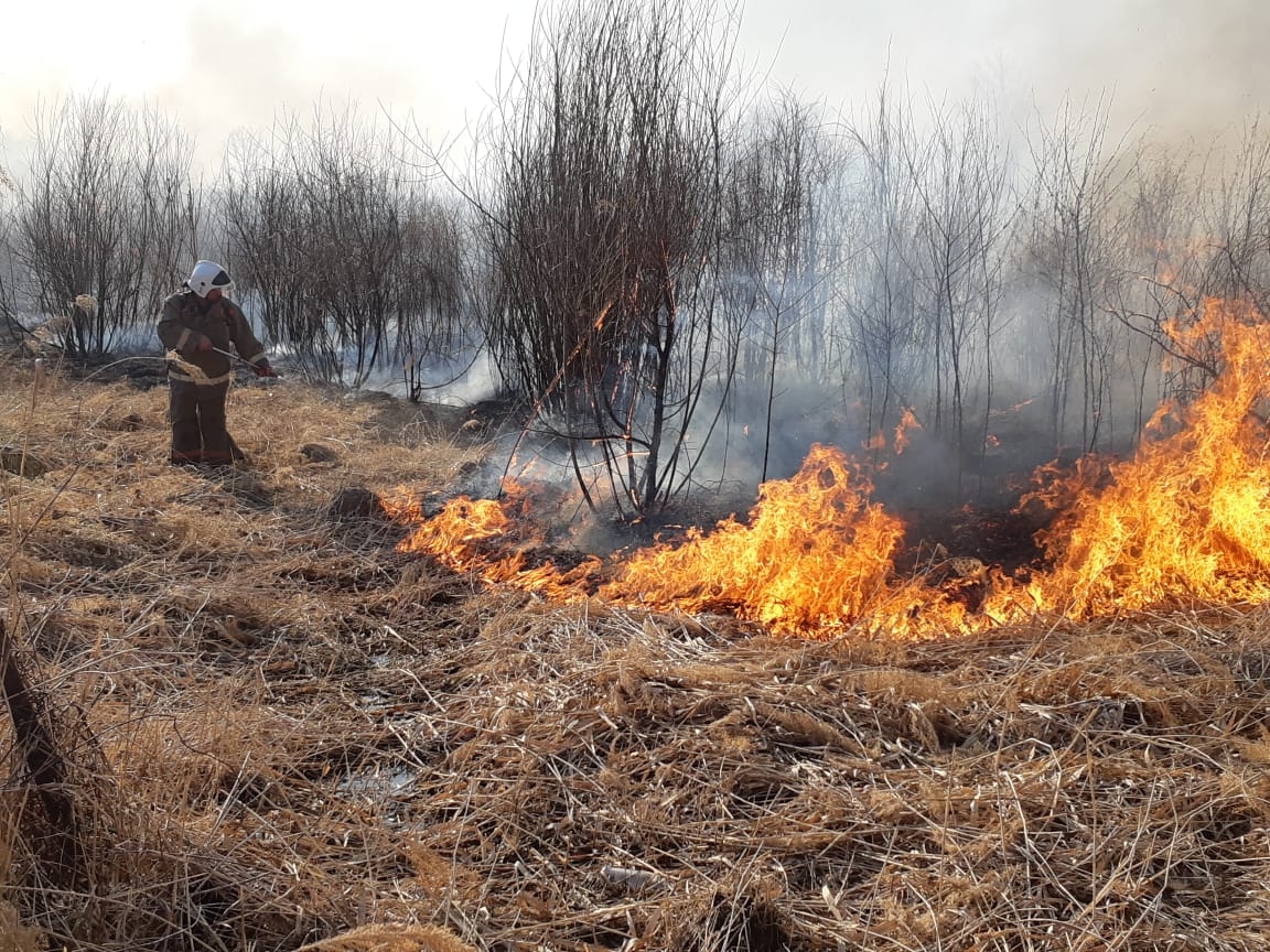 Палы сухой травы. Поджог травы. Сжигание травы. Пал травы. Сжигают сухую траву.