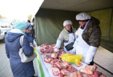 Photo of 63 тонны сельхозпродуктов представили на ярмарке в Кокшетау