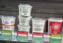 В Акмолинской области стартовала масштабная праздничная акция #NauryzSale